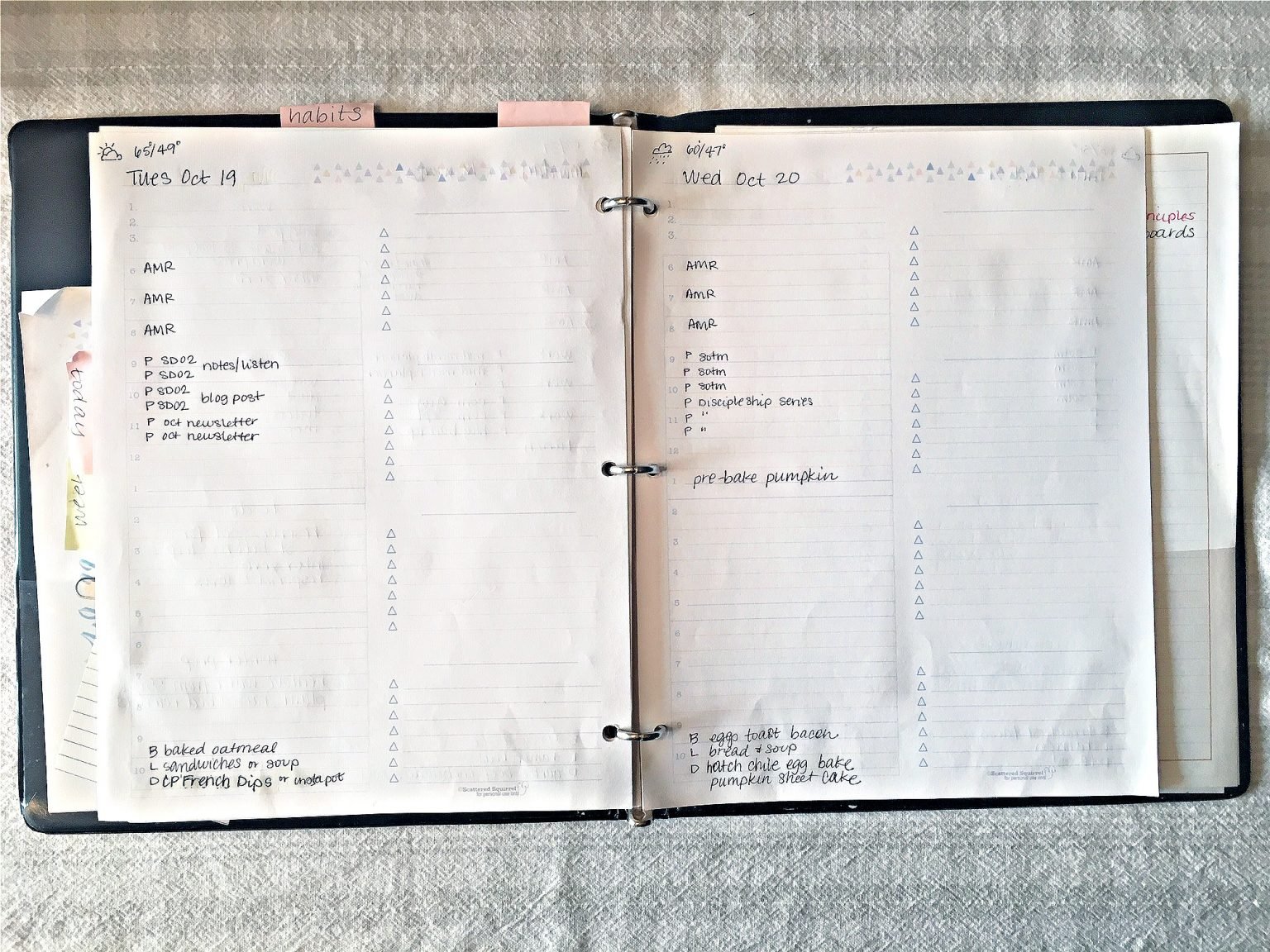 {Scattered Squirrel Planner Review} Mid-month update