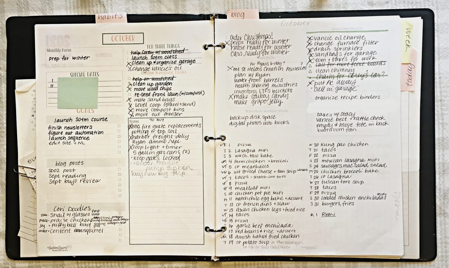 {Planner Review} My Month with Scattered Squirrel