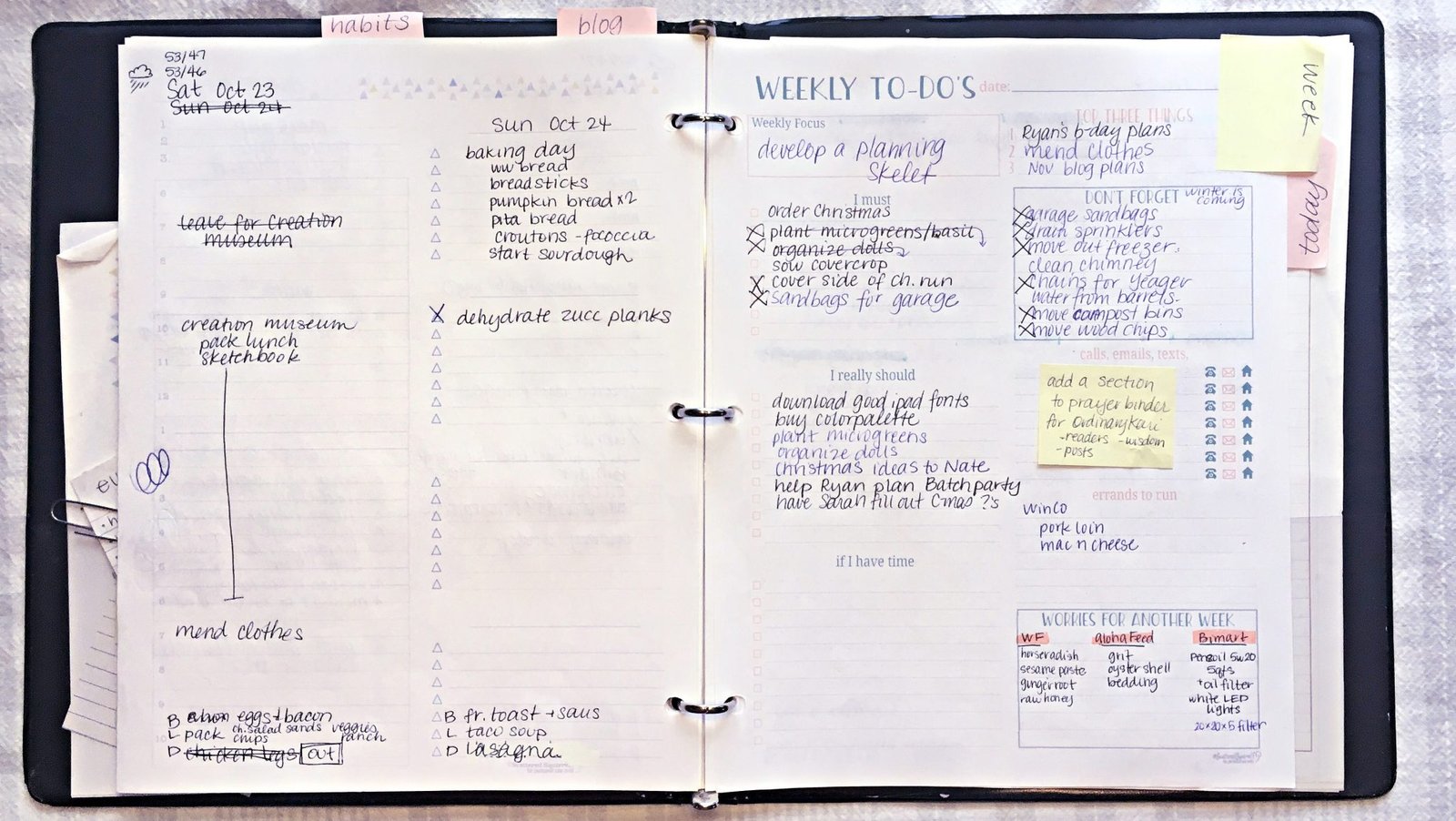 {Planner Review} My Month with Scattered Squirrel