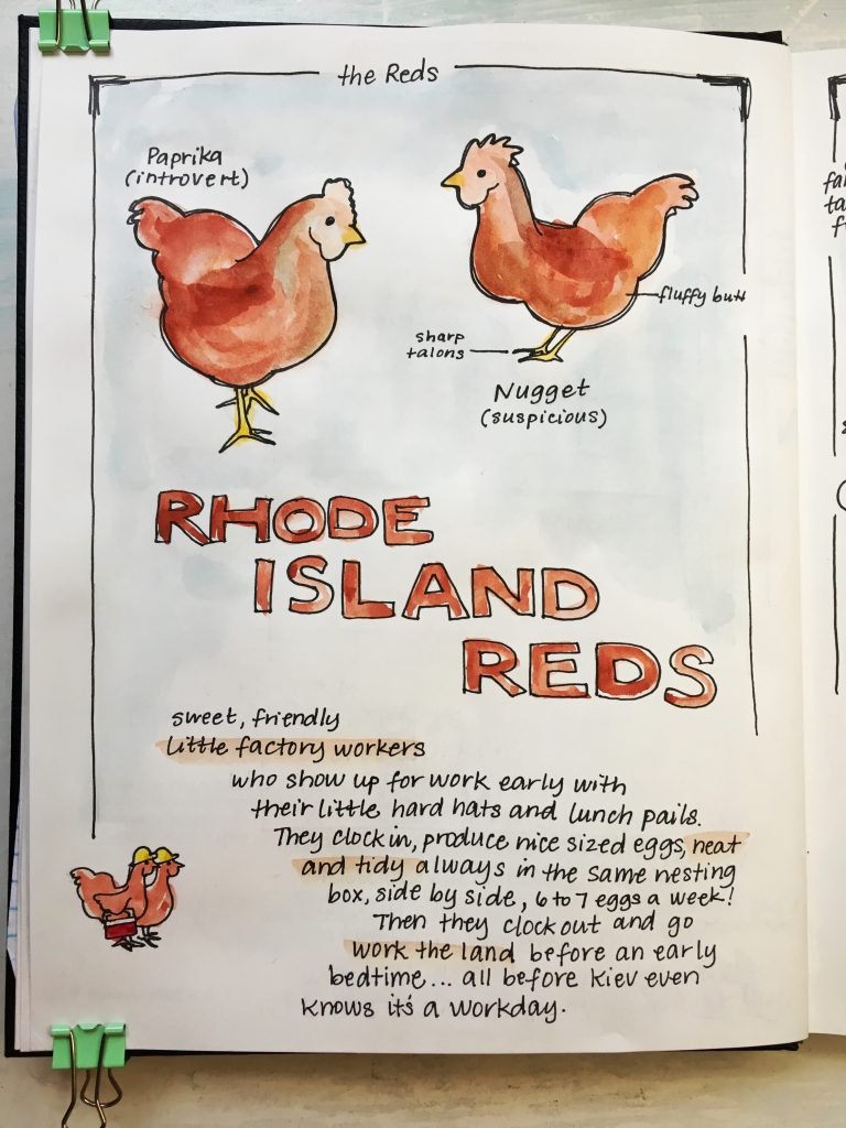 {Homestead Notebook} Recipes, Plans, & Chickens