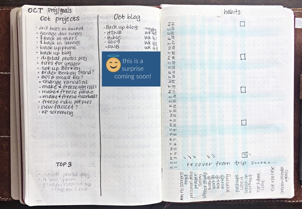 Useful gardening spread ideas for your bullet journal – Keeping it