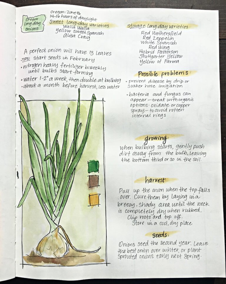 {Homestead Notebook} May 2024-onions and seed starting