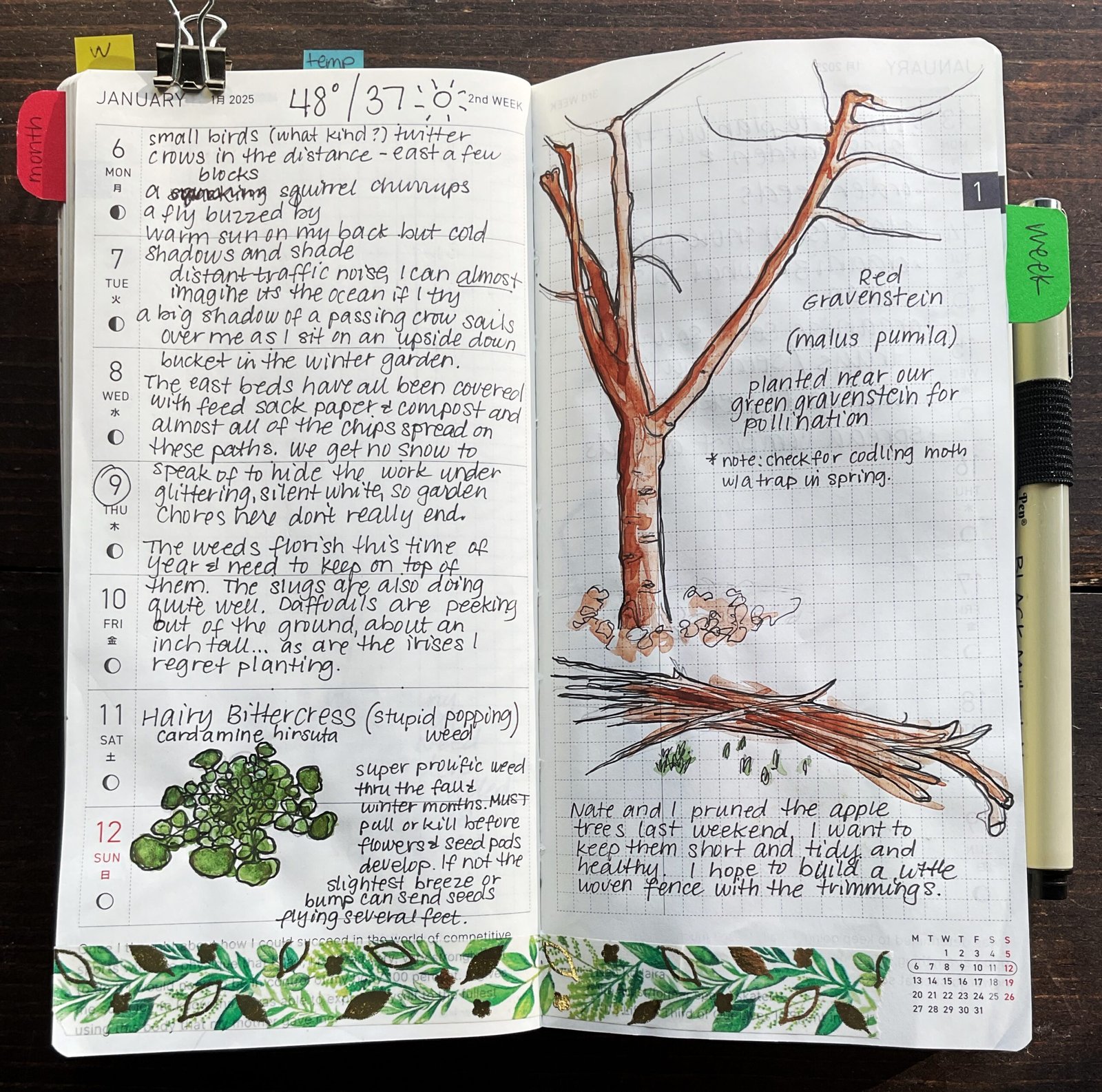 2025 Garden Notebook {January}