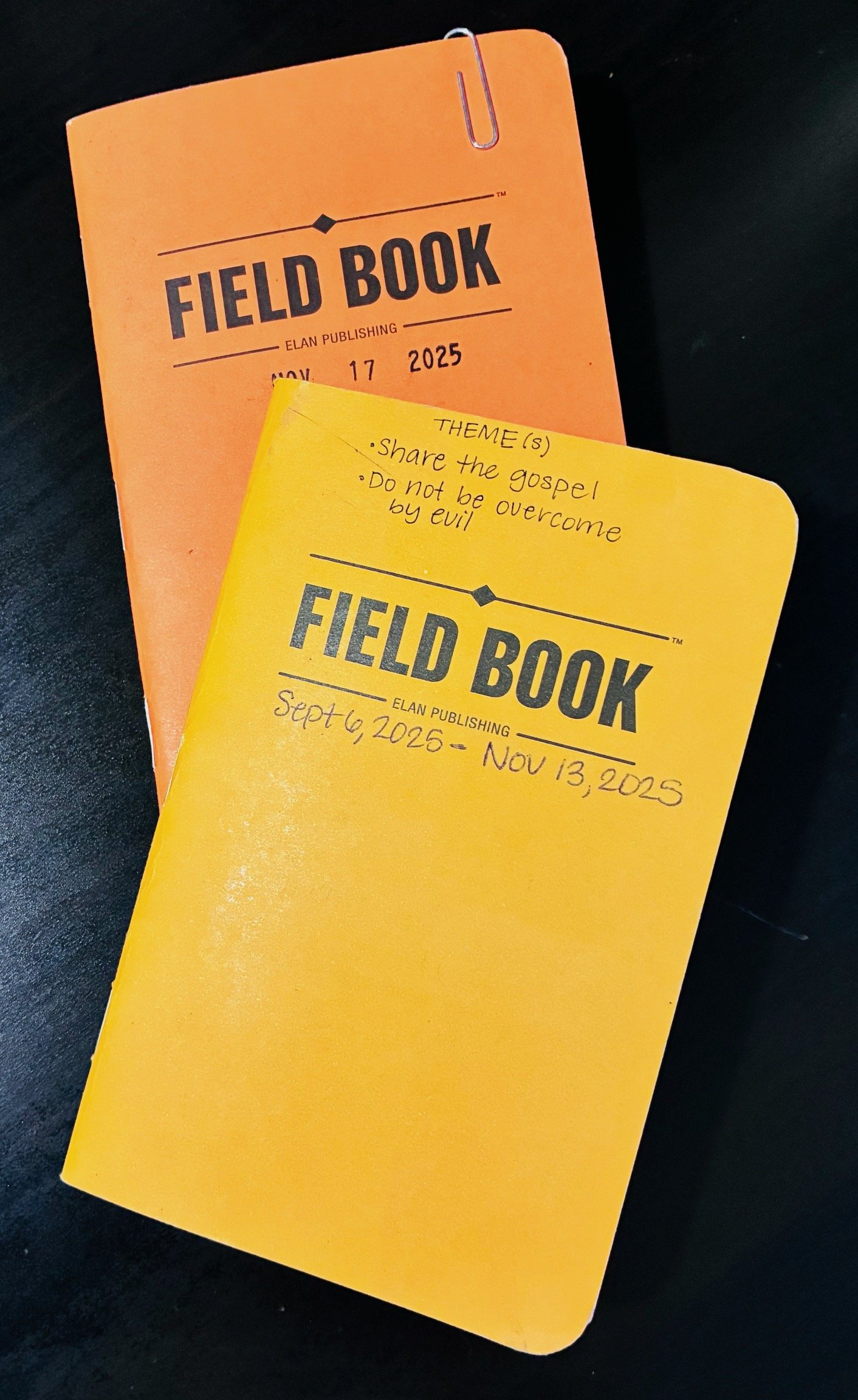 My Bible reading plan for 2026